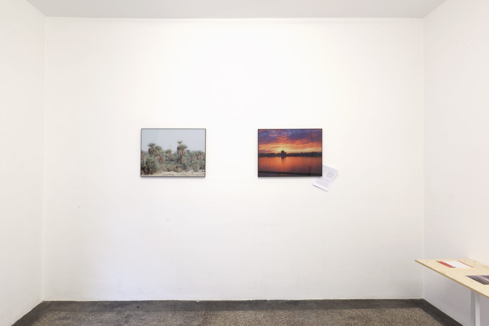 Autopoiesis 2014 — documentation photo