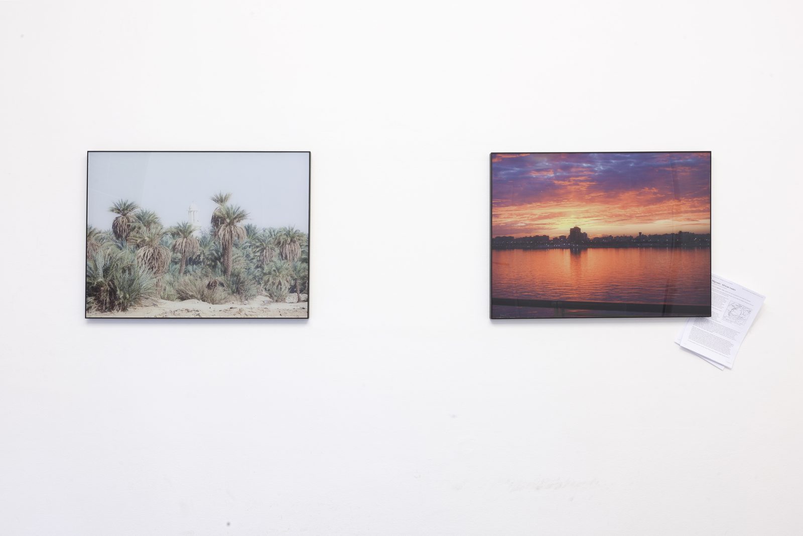 Autopoiesis 2014 — documentation photo