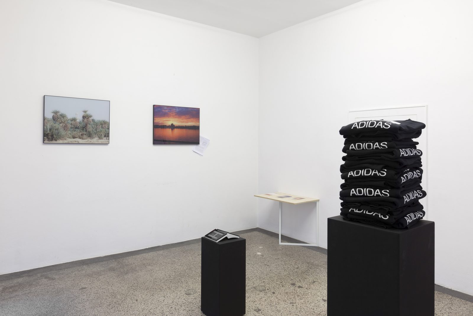 Autopoiesis 2014 — documentation photo