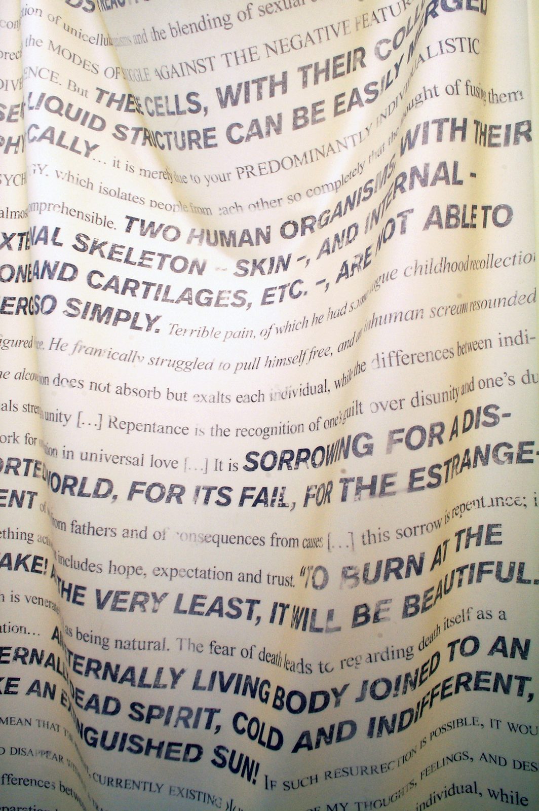 The Internet Is Present Part 2, 2016 — documentation photo