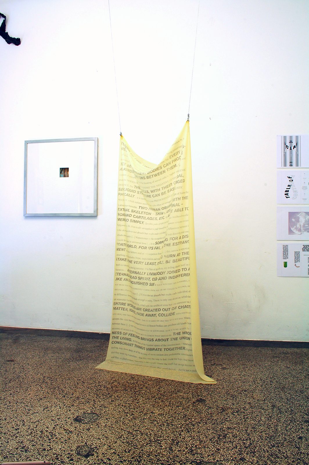 The Internet Is Present Part 2, 2016 — documentation photo