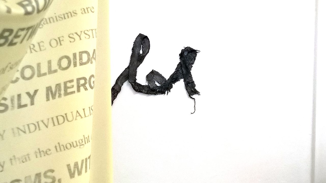 The Internet Is Present Part 2, 2016 — documentation photo
