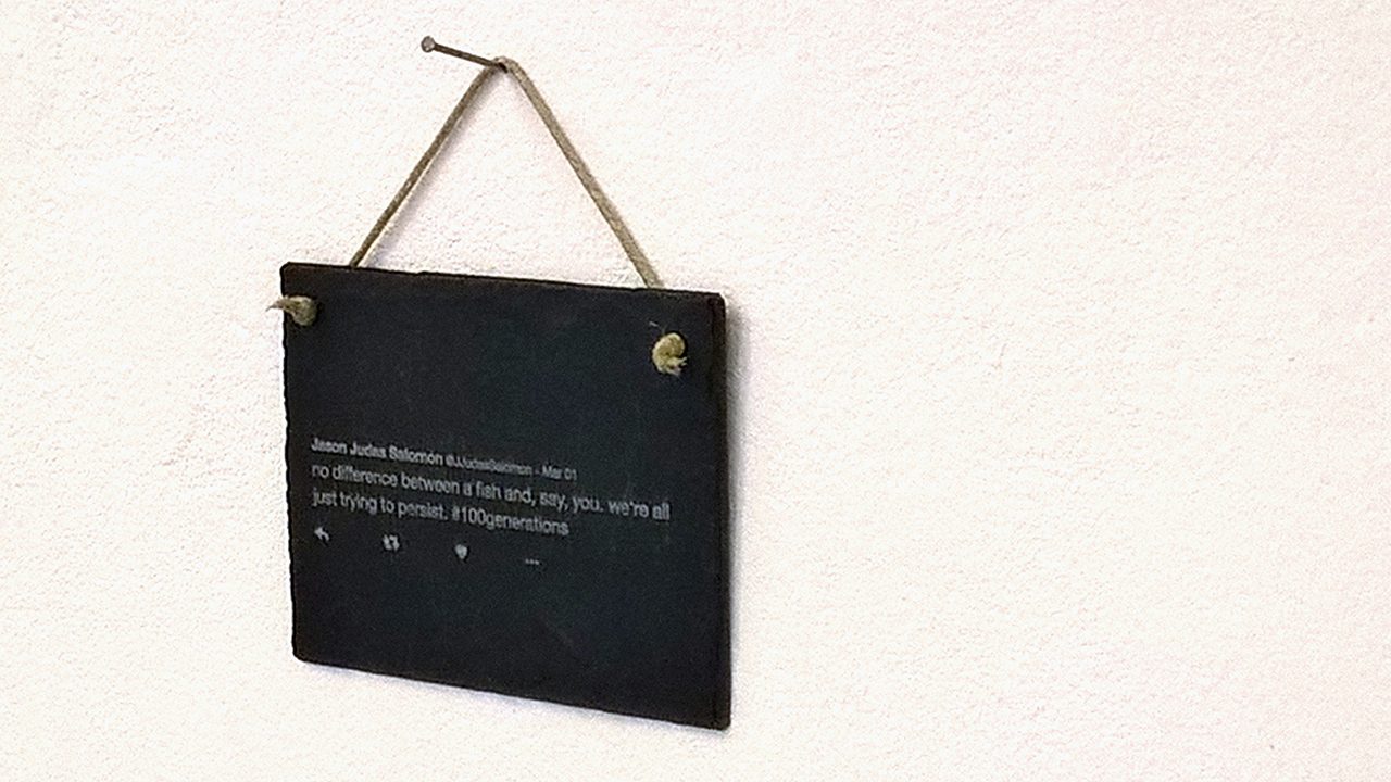 The Internet Is Present Part 2, 2016 — documentation photo